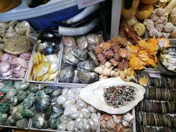 -美途玩具工厂店