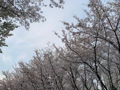 -白塘生态植物园