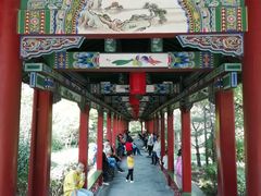 -迎泽公园