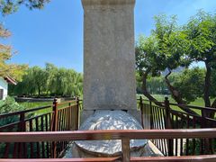 -团结湖公园