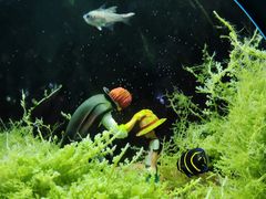 -欢乐海岸海洋奇梦馆
