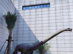 -湖南省地质博物馆