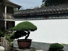 -水绘园