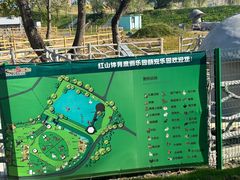 -红山体育乐园