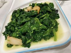 松茸豆苗-上海老饭店(北京分店)