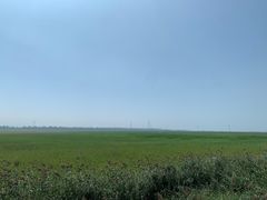 -野鸭湖国家湿地公园