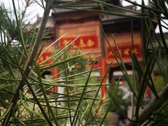 -渭南桃花源民俗文化园