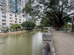 -晓港公园