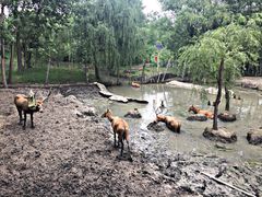 -溱湖国家湿地公园