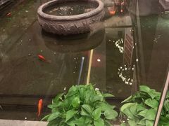 -旺顺阁鱼头泡饼(小红门店)