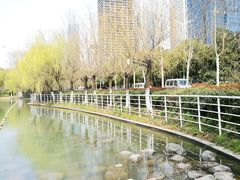 -天鹅湖体育公园