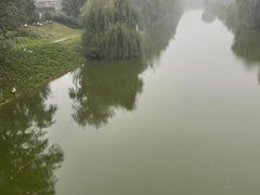 -赵州桥景区