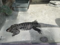 -黔灵山公园