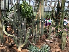 -北京植物园-展览温室