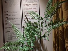 -沐善人家中医·推拿·理疗·三伏灸(新洲店)