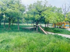 -上海野生动物园