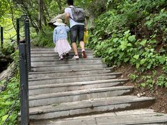 -王顺山国家森林公园