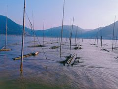 -北岐滩涂