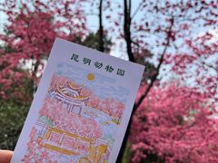 -昆明动物园