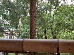 -巴倒烫陆派火锅山庄(南山总店)