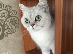 -美联众合动物医院·24h转诊中心