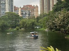 -晓港公园