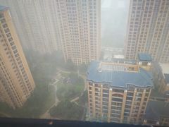 -君和君泰