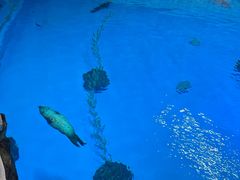 -香港海洋公园