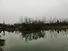 -白鹭湾湿地公园