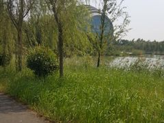 -泗洪洪泽湖湿地景区