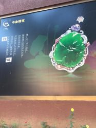 -中国黄金(北京旗舰店)