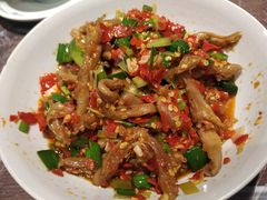 鸭掌筋-壹盏灯(惠农店)