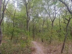-江苏三台山国家森林公园
