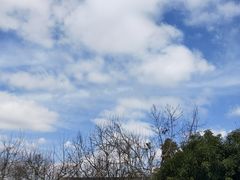 -上海第二工业大学(金海路校区)
