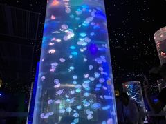 -锦艺城海洋馆