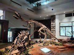 -自贡恐龙博物馆