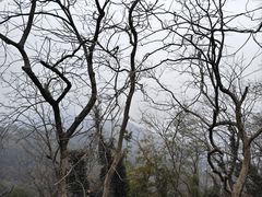 -灵顺寺