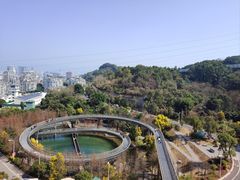 -福道