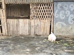 -宁波九龙湖开元度假村