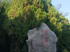 -浮来山风景区