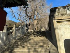 -潭柘寺景区