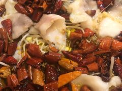 沸腾鱼-东北农家小院(定西路店)