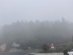 -江南天池