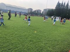 -小赛虎少儿足球培训(南翔校区)