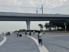 -宝安西湾红树林湿地公园