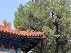 -北京国子监胡同