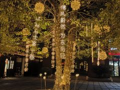 -青果巷历史文化街区