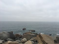 -广东惠东海龟国家级自然保护区