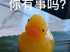 -唐阁海景中餐厅·早茶·粤菜•生日聚餐(海口朗廷酒店)