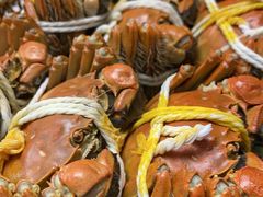 -秋月舫(阳澄湖湖滨中路店)